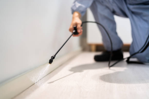 Bed Bug Pre-Treatment Preparation Assessment in Toledo