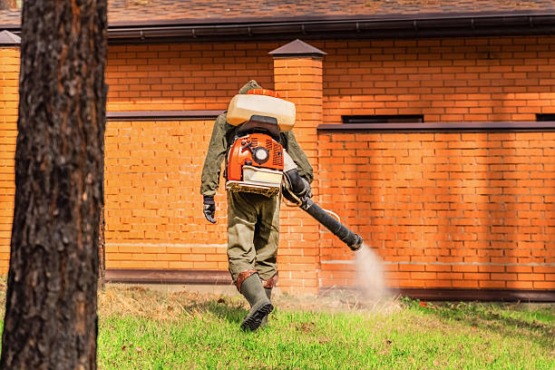 Bed Bug Clearance Verification and Documentation in Toledo